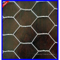 DM pvc hexagonale